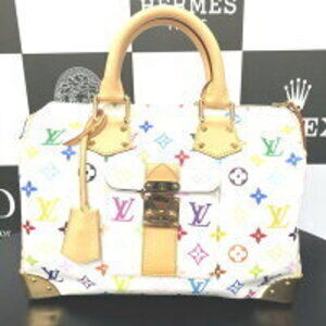 Louis Vuitton Multicolor Handbag
